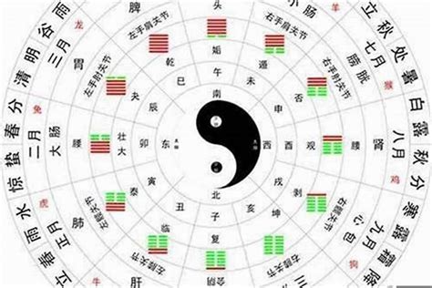 五行木多的人|八字命局木多的人命運如何